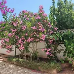 Casa Mia - Mia