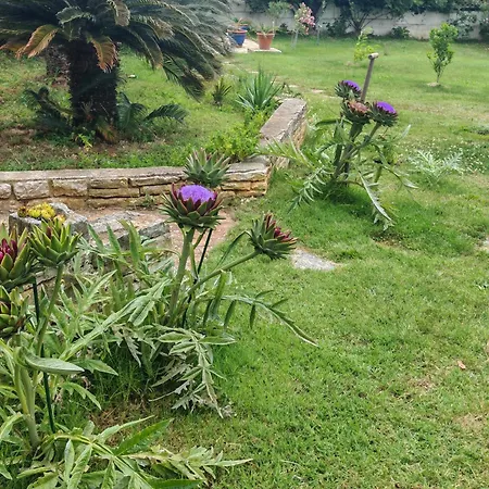 Casa Mia - Mia