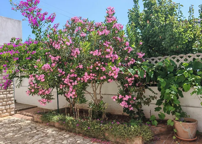 Casa Mia - Mia